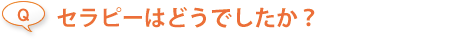 セラピーはどうでしたか？